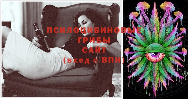 бошки Вяземский