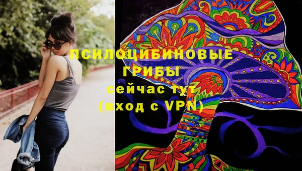 бошки Вяземский