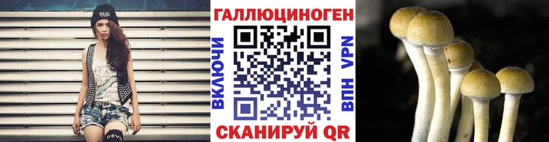 Купить где  Межгорье  Галлюциногенные грибы MAGIC MUSHROOMS 