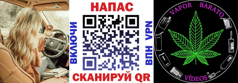 Конопля MAZAR  Купить где  Межгорье 